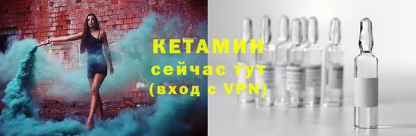 сатива Россошь
