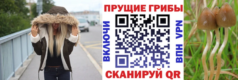 Псилоцибиновые грибы Magic Shrooms  Глазов 